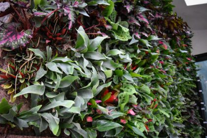 Residential living wall system with tropical living plants