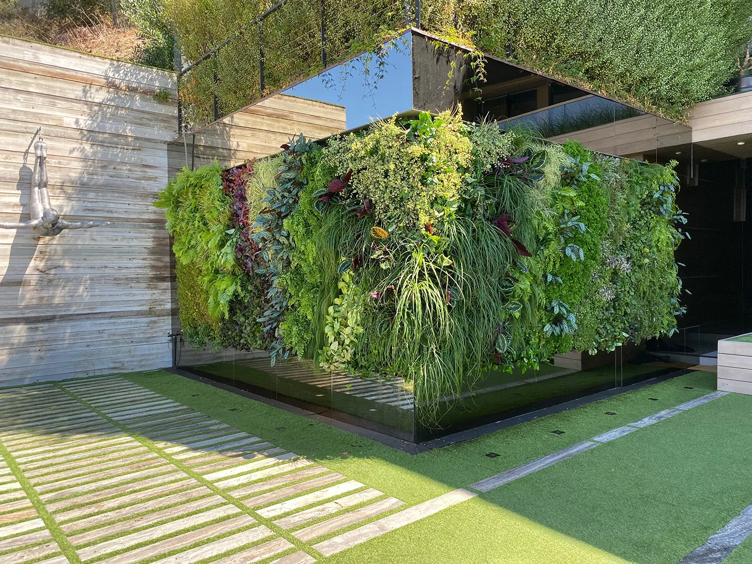 Outdoor living wall with grasses and tropical plants for residence.