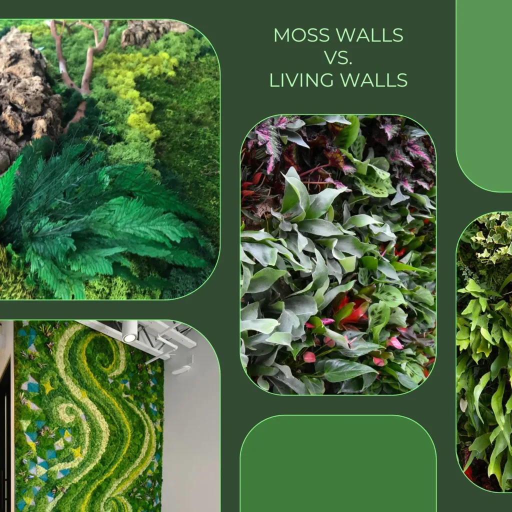 A photo collage of moss wall and living wall photographs