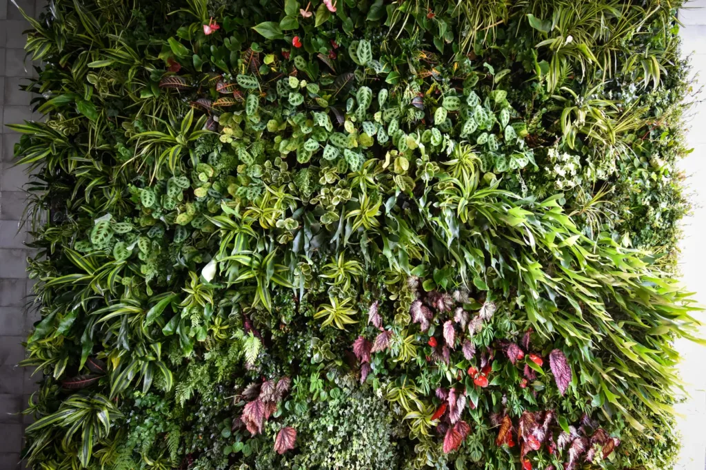 Rancho Santa Fe living wall