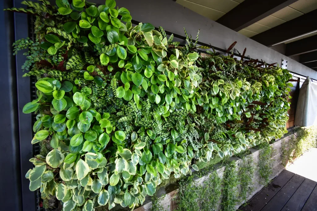 Tropical plant wall at La Jolla Residence