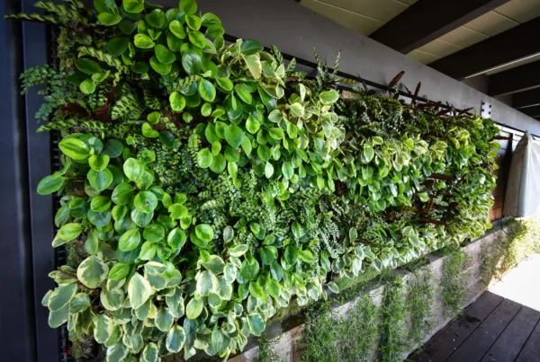 Tropical plant wall at La Jolla Residence