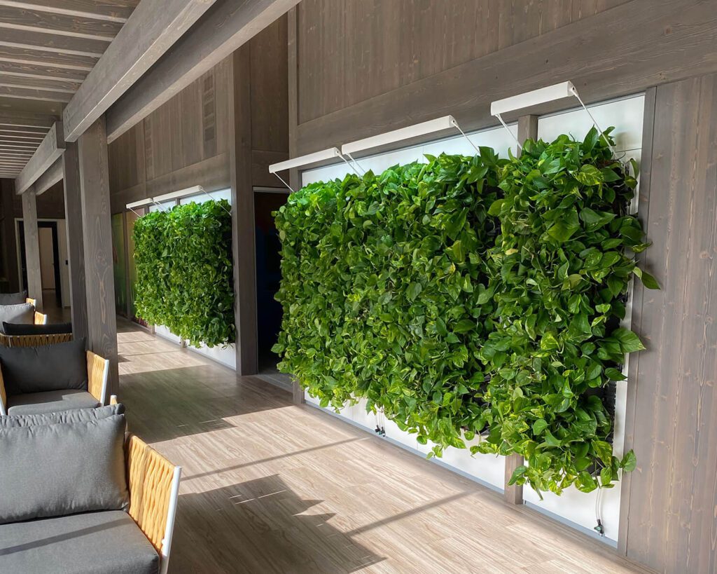 2 large living wall panels in San Diego County District Attorney Vista location office