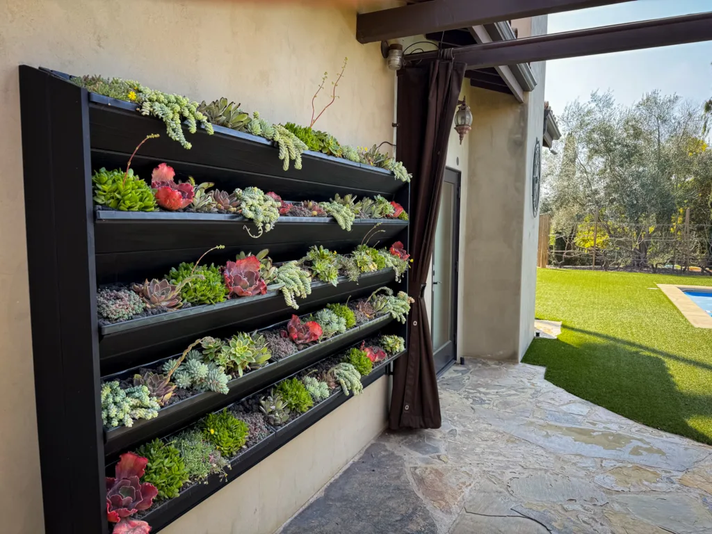 Vertical Garden Solutions succulent living wall project for a Solana Beach, CA residence. 5-tiered trough system in backyard near pool.