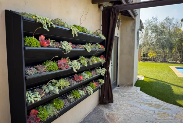 Vertical Garden Solutions succulent living wall project for a Solana Beach, CA residence. 5-tiered trough system in backyard near pool.