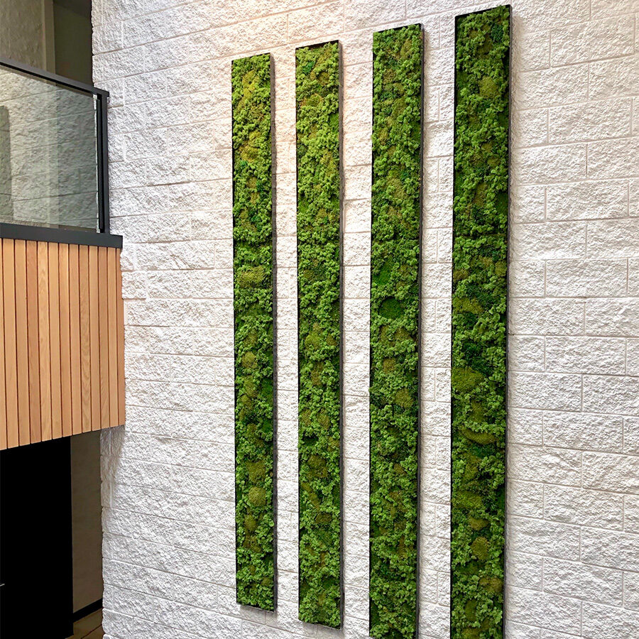 Abstract modern moss wall. Vertical Garden Solutions provides moss wall for residential and commercial clients.