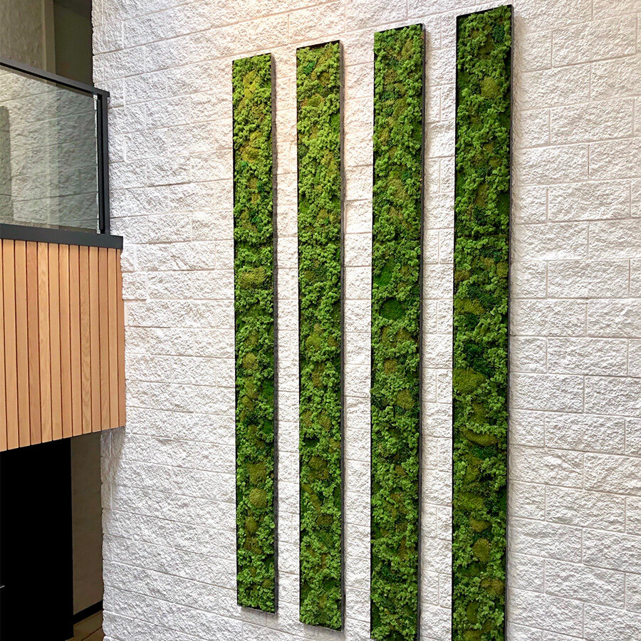 Moss Walls - Vertical Garden Solutions